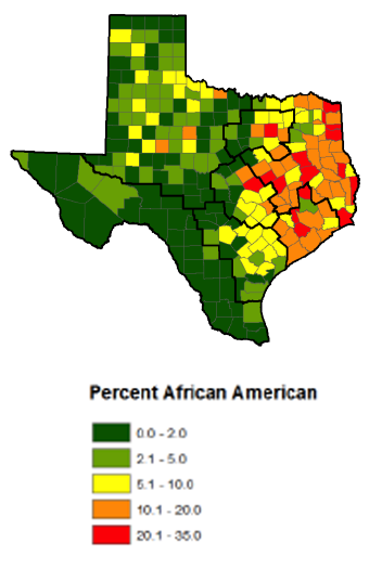 africanamericantexans2013