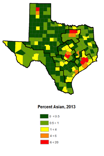 asiantexasns2013