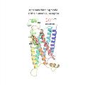 Dopamine Receptor_1_FINAL