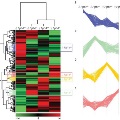 Proteomes