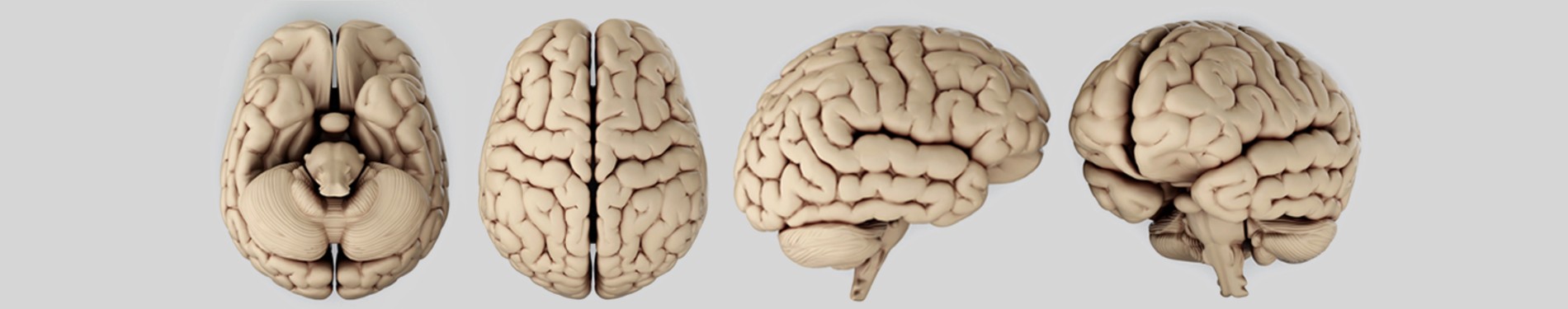 Neurology Banner