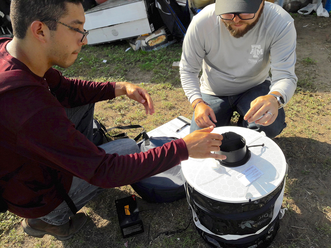 Researchers in the field