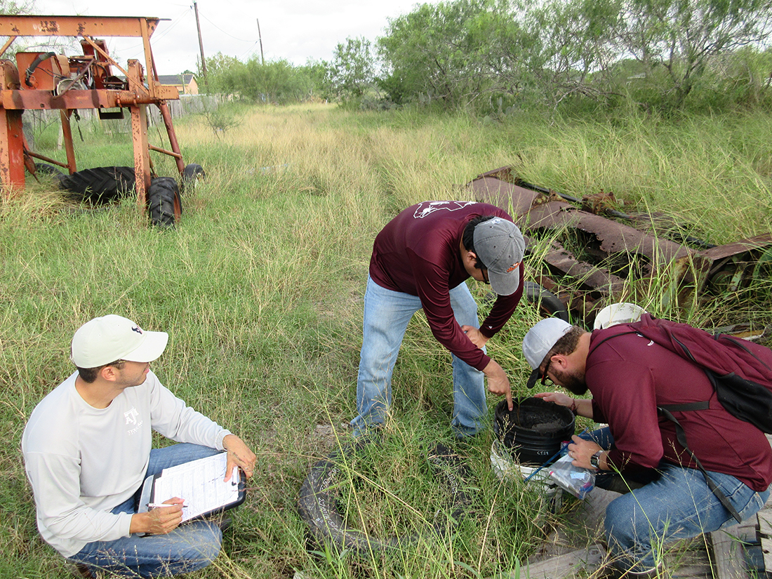 Researchers in the field