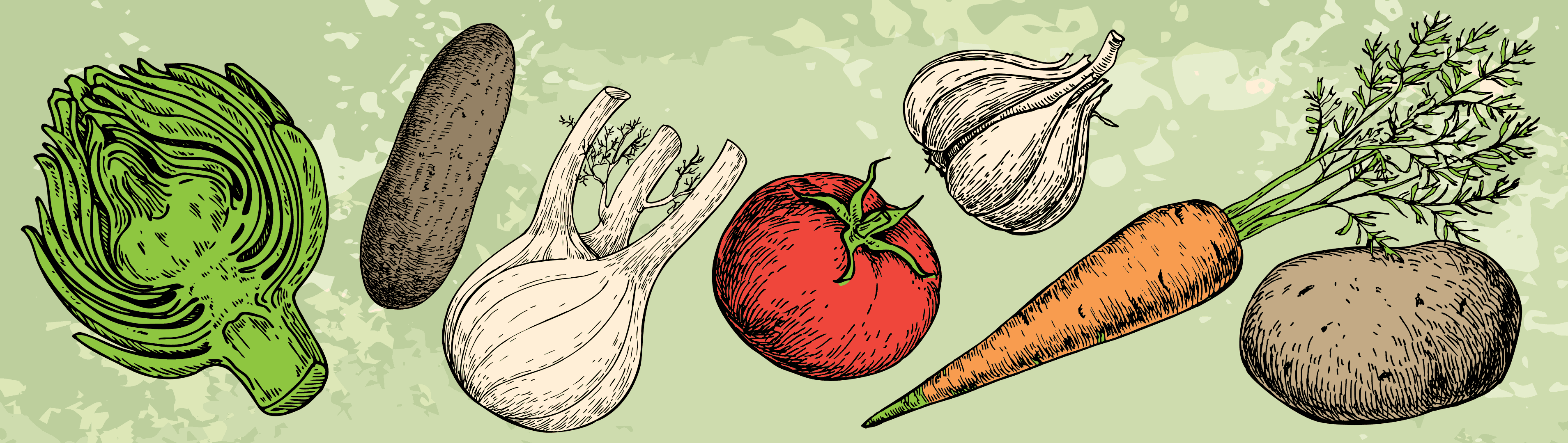 Graphic illustrations of an artichoke, corn cob, two garlic bulbs, tomato, carrot and potato