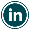 LinkedIn logo icon