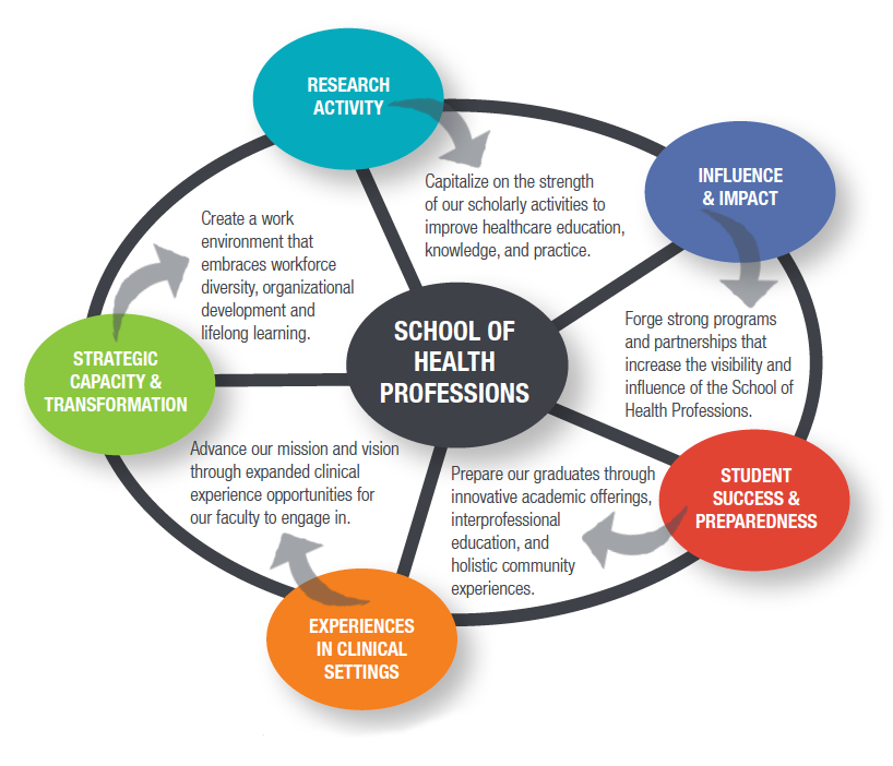 A chart with information about the RISES Initiative that is also presented in 