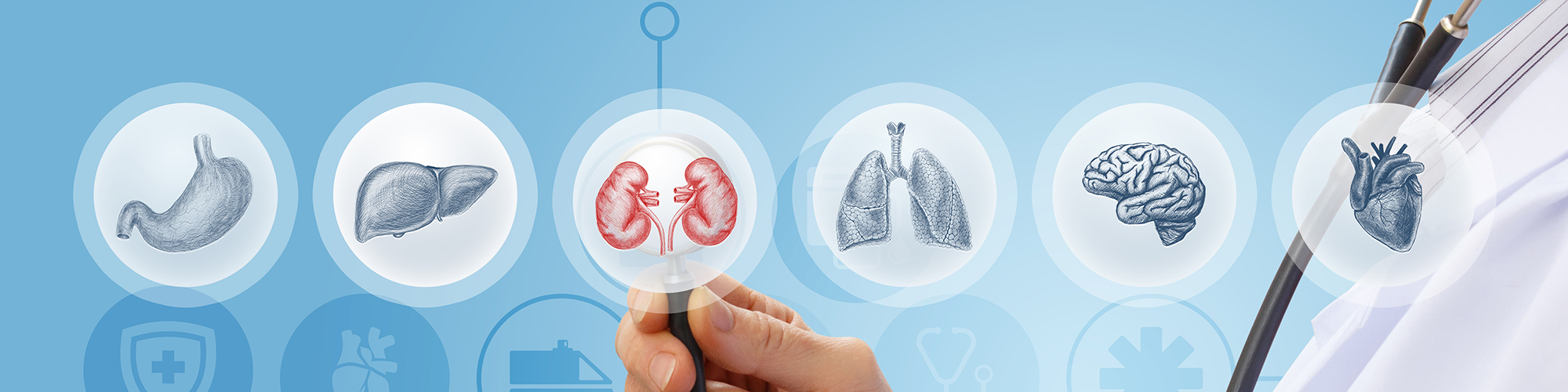 Clinical_Education_Header_art