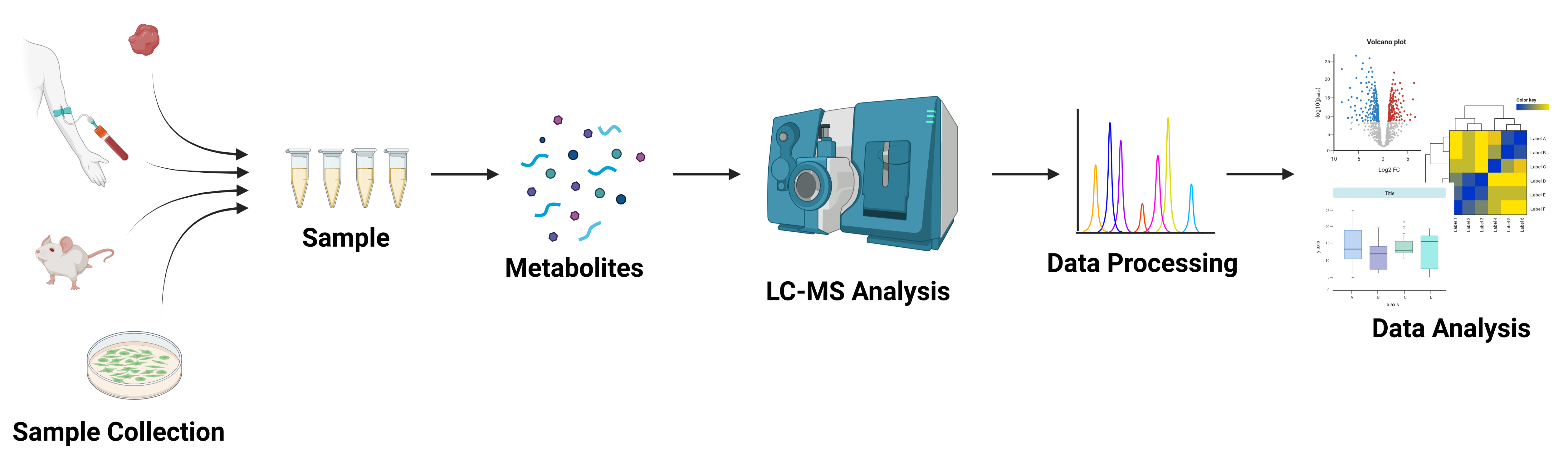 Workflow diagram showing sample collection from blood, animals, or cells, followed by metabolite extraction, LC-MS analysis, and downstream data processing and analysis.