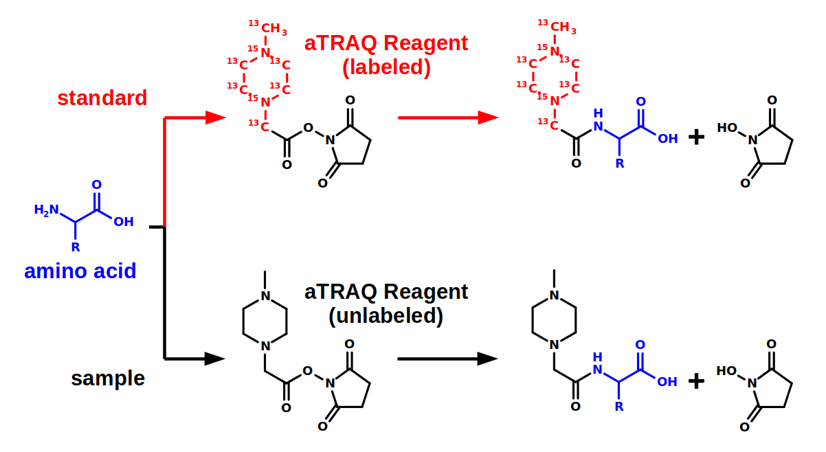 aTRAQ labeling