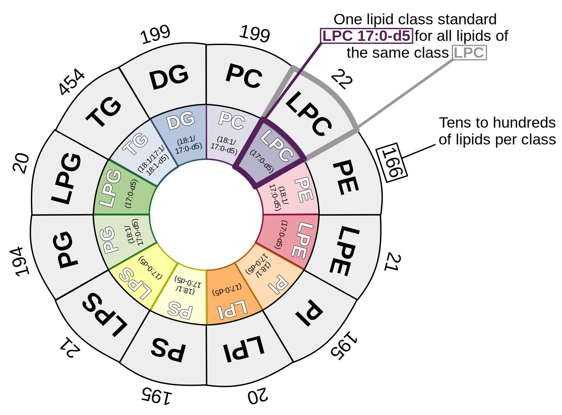 Circular diagram showing multiple lipid classes with counts per class and highlighting the use of a single internal standard for quantifying lipids within a class.