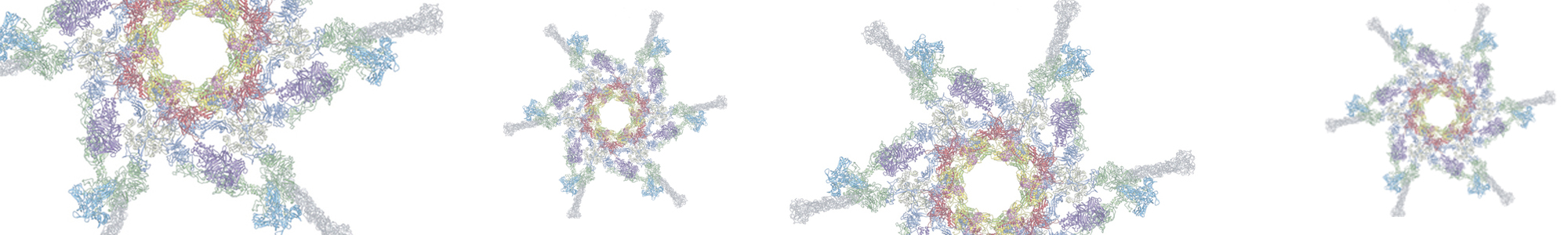 lieman research lab header_adj