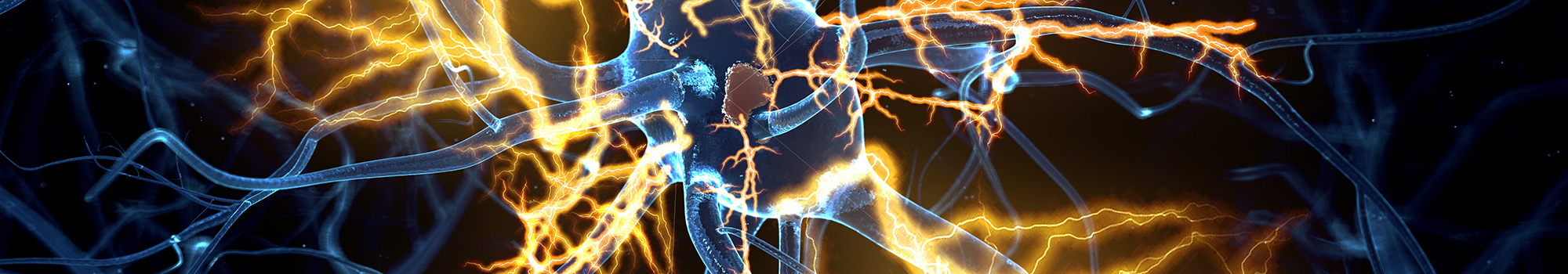 Abstract digial illustration of nerve pathways