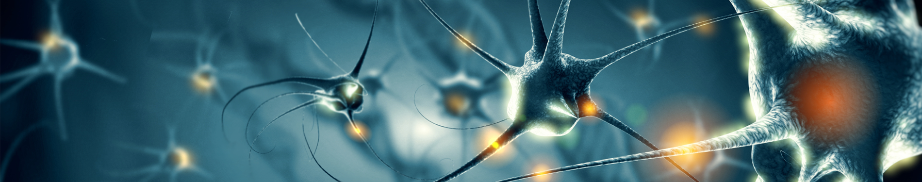 Digital illustration of interconnected neurons with glowing synapses, representing neural communication and brain signaling.