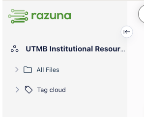 example of UTMB Institutional Resources Workspace option