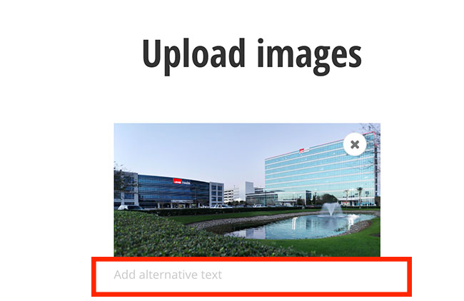 screenshot showing alternative text field