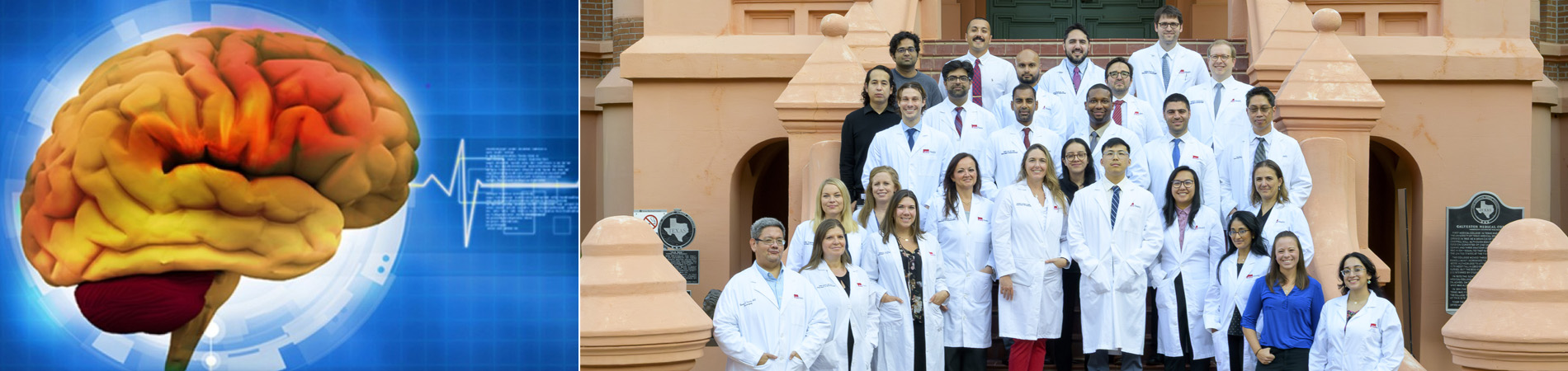 Portrait of Neurosurgery Faculty and Staff