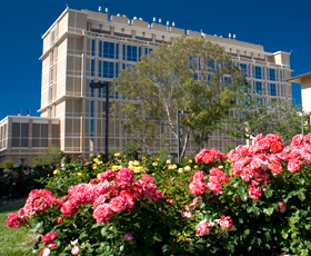 Galveston National Laboratory